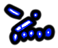 Image of the occurrence